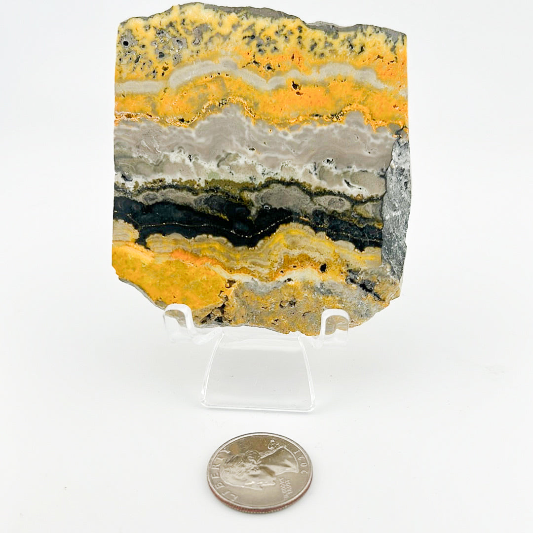 Bumblebee Jasper Slab