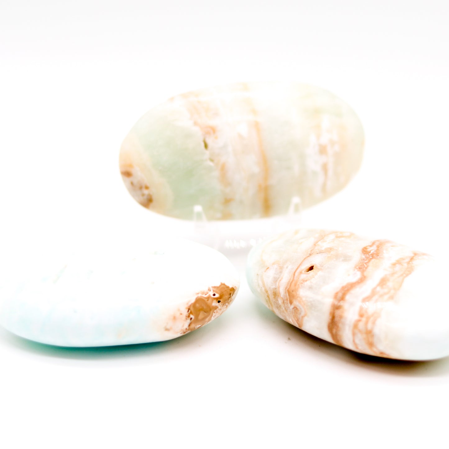 Caribbean Calcite Palm Stone
