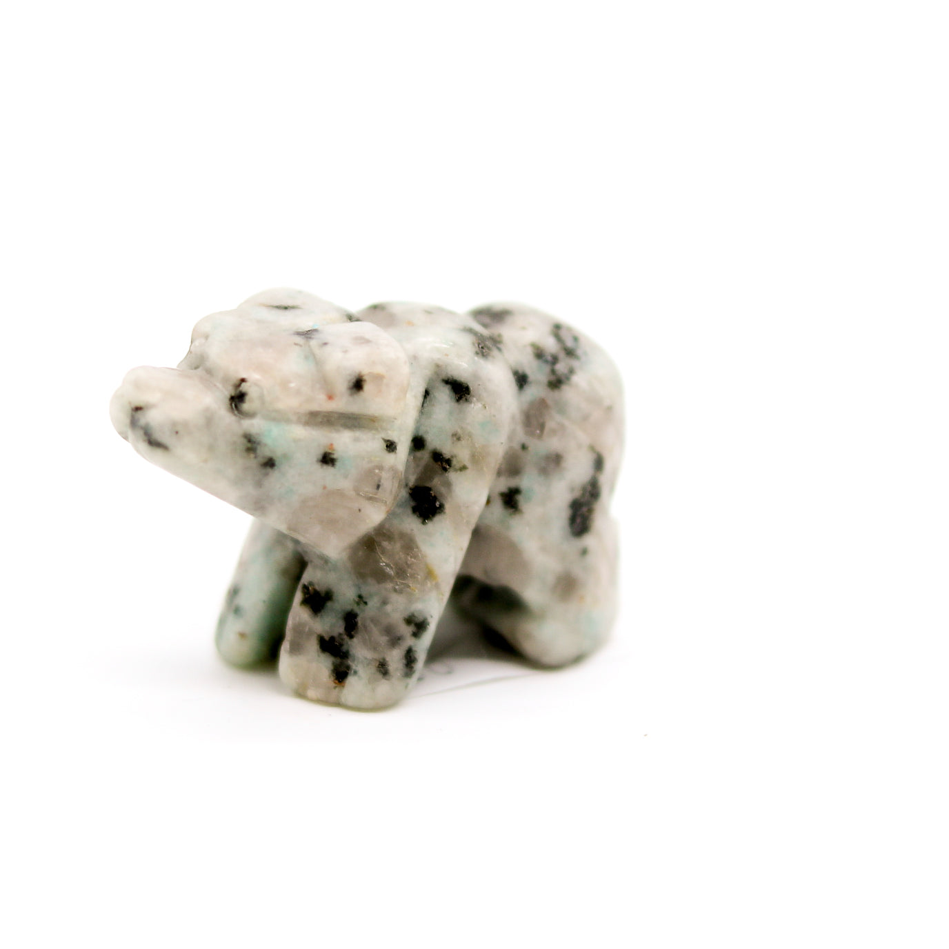Kiwi Jasper Bear