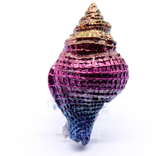 Bismuth Shell