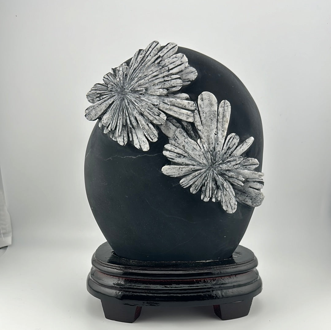 Chrysanthemum Stone Display
