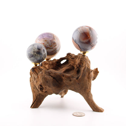 Driftwood Sphere Holder